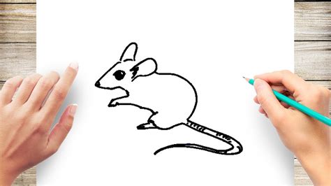 How To Draw A Mouse Easy - Soupcrazy1