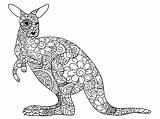 Kangaroo Coloring Pages sketch template