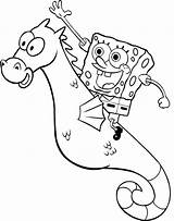 Sea Sponge Coloring Page At GetColoringscom  Free Printable Colorings sketch template