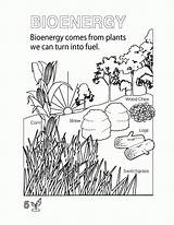 Environmental Coloring Pages For Kids sketch template