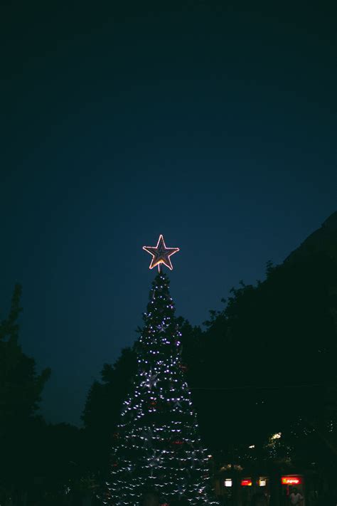 Free Images : light, sky, night, dusk, evening, reflection, darkness, christmas tree, moonlight ...