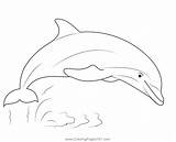 Pink Dolphin Coloring Sheets sketch template