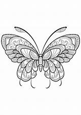 Butterfly Beautiful patterns  11 Butterflies & Insects Coloring sketch template