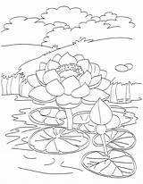 Pond Coloring Pages At GetColoringscom  Free Printable Colorings sketch template