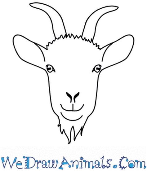 28 Learn Goat Drawing Ideas with Drawing Tutorial - DIY Crafts