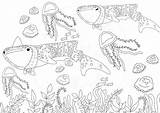 WHALE SHARK Coloring Page Downloadable Sheet  Cute Shark sketch template