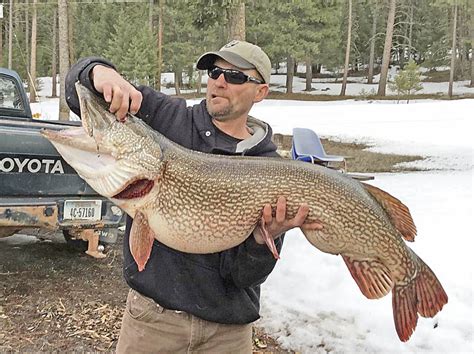 Trophy Pike Caught in Local Lake - Seeley Swan Pathfinder