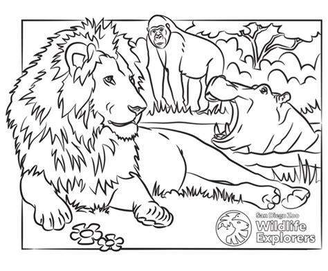 Zoo Coloring Pages Free Printable