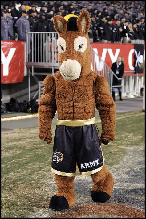 The Best Army Football Mascot References