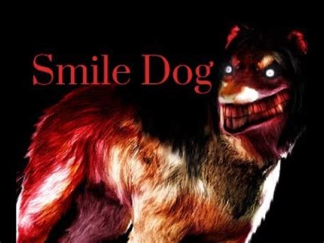 Let's Read: Smile Dog Origin Story! - YouTube