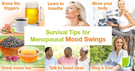 Survival Tips for Menopausal Mood Swings | Menopause Now