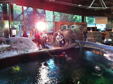 Filming at the Aquarium | Behind the scenes, Scenes, Scene