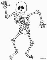 Coloring Skeleton Pages Colouring Adults Print Skull Halloween Calavera  sketch template