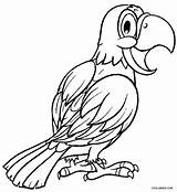 Printable Parrot Coloring Pages For Kids sketch template