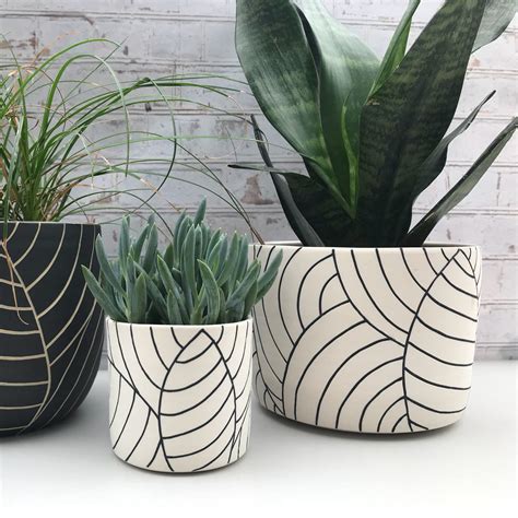 Jumbo Ceramic Plant Pots - Garden Plant