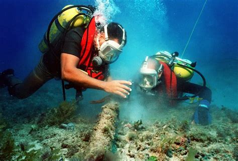 How to Become a Marine Biologist: Your Path to a Career Among the Waves
