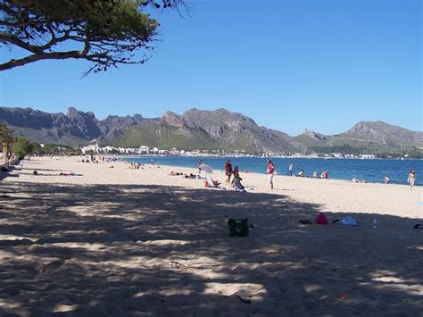 Beach in Puerto Pollensa - Things To Do In Puerto Pollensa - Mallorca