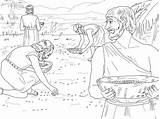 Gathering Manna From Heaven coloring Page  ColouringPages sketch template