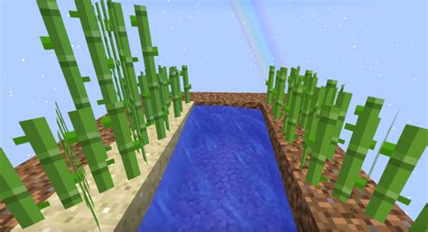 Sand Grows Sugar Cane Faster than Dirt - Survival Mode - Minecraft ...