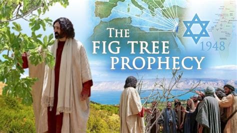 The Fig Tree Prophecy - YouTube in 2021 | Fig tree, Prophecy, Fig