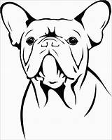 Inspirational French Bulldog Coloring Pages  Dog coloring Page Puppy sketch template
