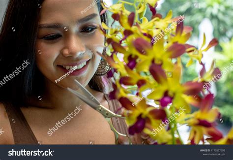 Closeup Transgender Thai Model Trimming Orchid Stock Photo 1175577502 ...