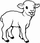 Lamb Face Coloring Page sketch template