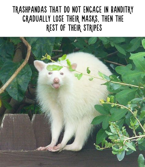 54 Amazing Animal Facts You Didn’t Know | Bored Panda