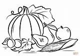 Printable Harvest Coloring Pages sketch template