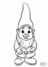 Cute Gnome coloring page  Free Printable Coloring Pages sketch template