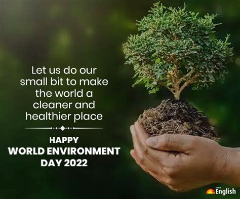 Happy World Environment Day 2022: Wishes, Quotes, WhatsApp and Facebook Status To Share On This Day