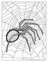 28 Spider Coloring Pages Free PDF Printables sketch template