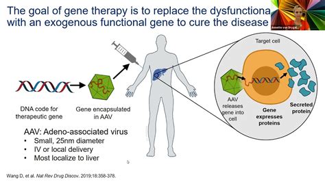 Gene Therapy Hemophilia