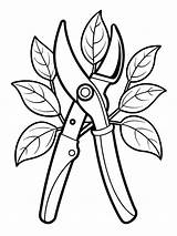 Pruning Shears Secateurs coloring Book Pages For Children And Adults  sketch template
