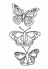 Butterfly Coloring Pages sketch template