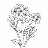 Flower coloring Page line art Collection Graphic Element Vector 7746153  sketch template