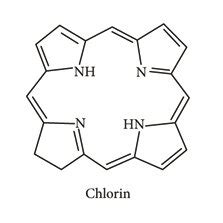 Structure of tetrapyrrole derivatives. | Download Scientific Diagram