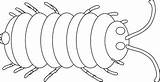 Rolly Polly Bugs Coloring Pages sketch template