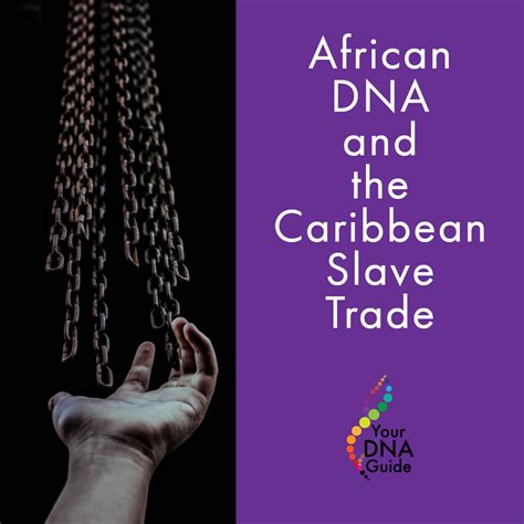 DNA Testing for African Ancestry — Your DNA Guide