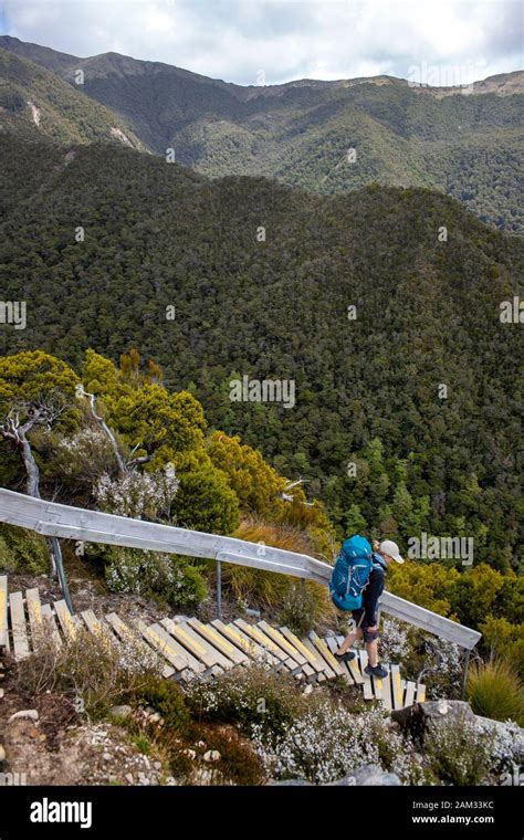 Walking the Old Ghost Road trail, Lyell to Seddonville, New Zealand ...