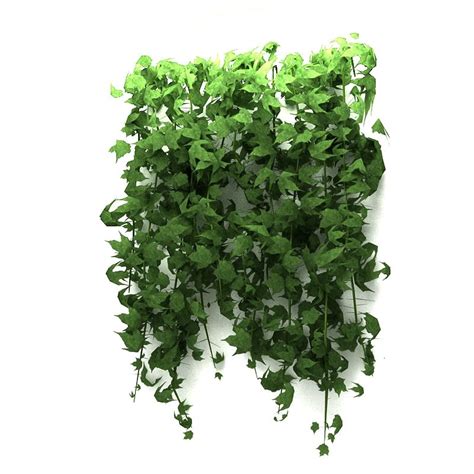 Wall hanging plant - A 3D Model $9 - .max - Free3D