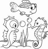 13 Fun Original And Cartoon Baby Seahorse Coloring Pages  sketch template