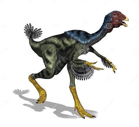 Caudipteryx Dinosaur stock illustration. Illustration of feathers ...