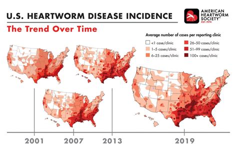 Heartworm Disease — Richmond Animal League