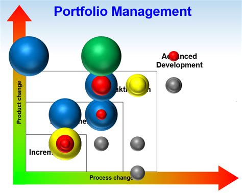 Innovation Portfolio Management