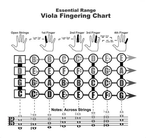 FREE 7+ Sample Violin Fingering Chart Templates in PDF | MS Word