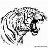 Top Printable Tiger Coloring Pages For Kids  Worksheets Library sketch template