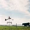 Wind Vane Farm Courtyard Wrought Iron Weather Vane, Country House ...