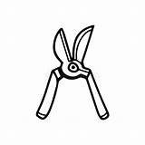 Outline Pruners Stock Illustrations – 139  sketch template