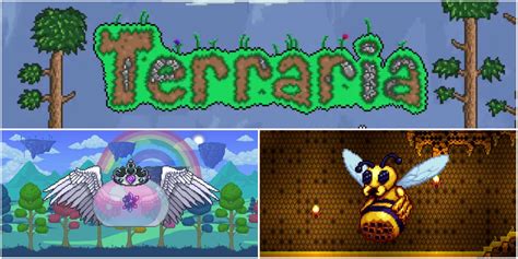 Terraria: 17 Best Mounts, Ranked | Tech News Vision